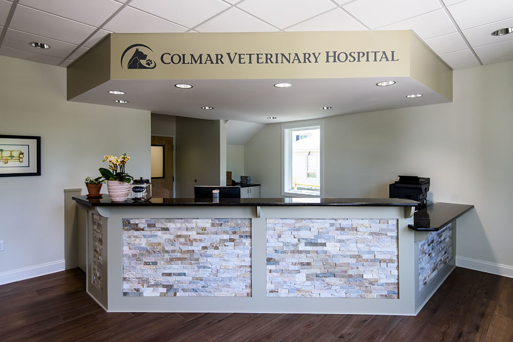 Veterinary Hospital Built by Gavin Construction